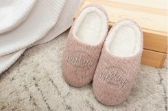 Slipper 1